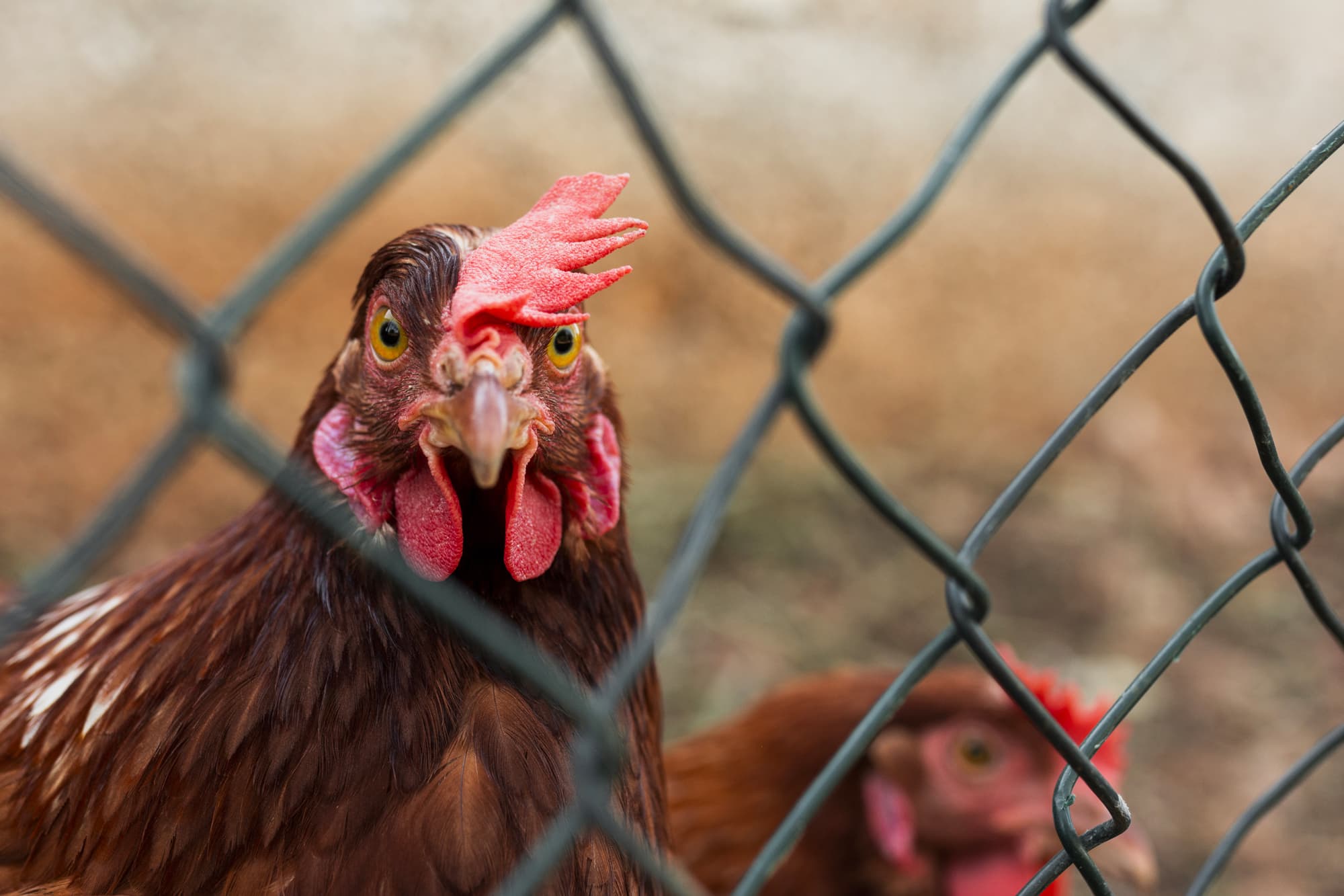 Pour une construction orientée vers l'avenir avec une vision Global.